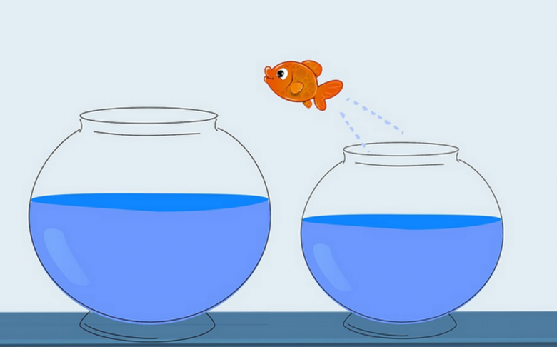 Mise à disposition d’un agent public : Qu’est-ce que c’est ? Découvrez les différentes particularités, droits et opportunités de la mise à disposition d’un agent public.